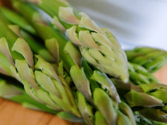 農楽人｜NORABITO