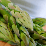 農楽人｜NORABITO