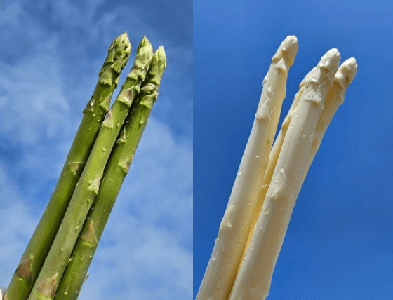 フラットフィールドファーム