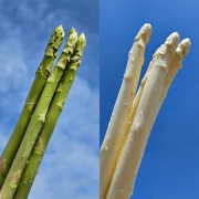 フラットフィールドファーム