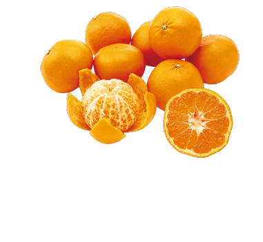 長崎柑橘 せとか（西海市／長崎地区）