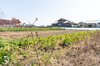 竹田かたつむり農園