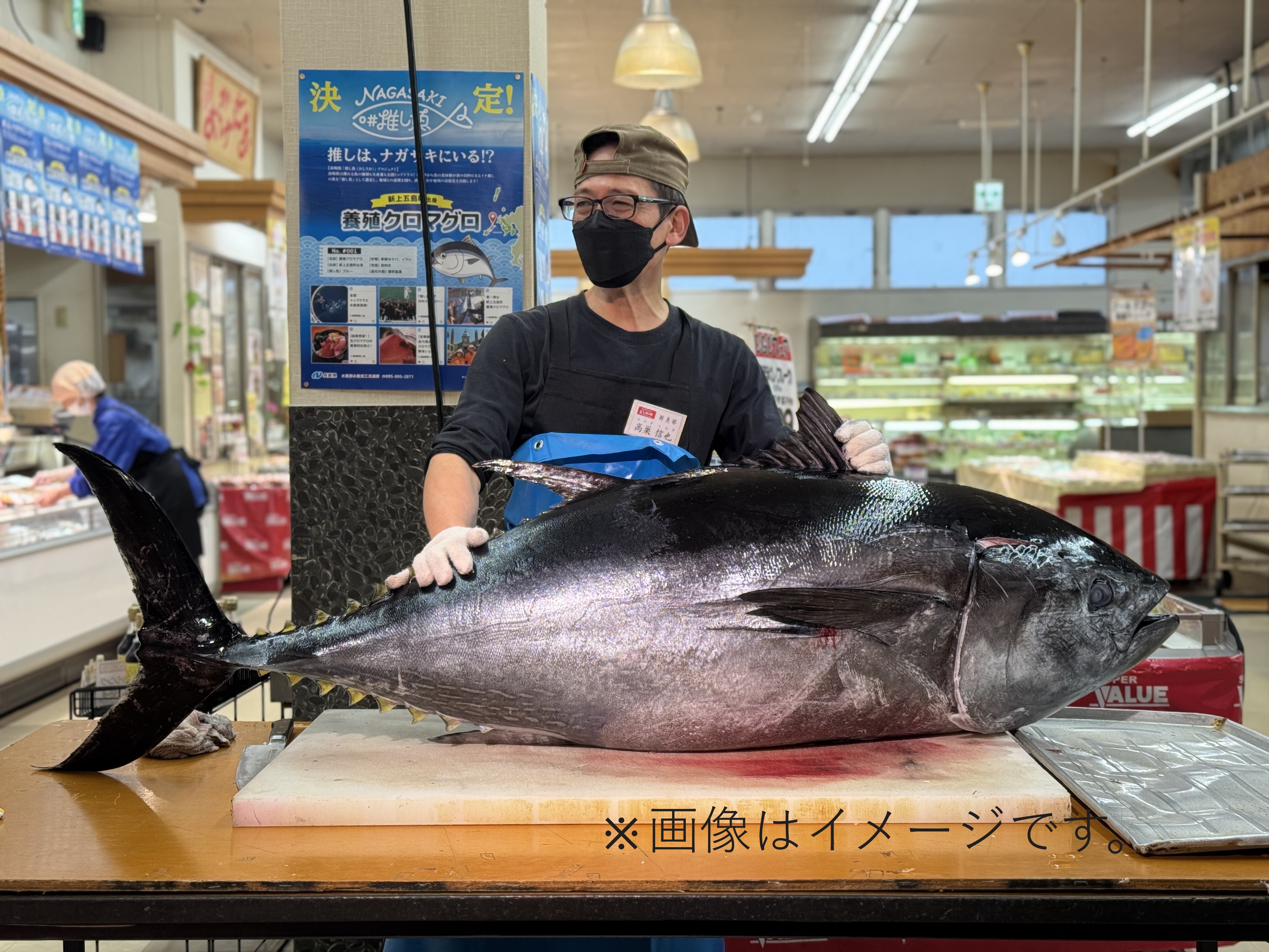 推し魚イベントイメージ